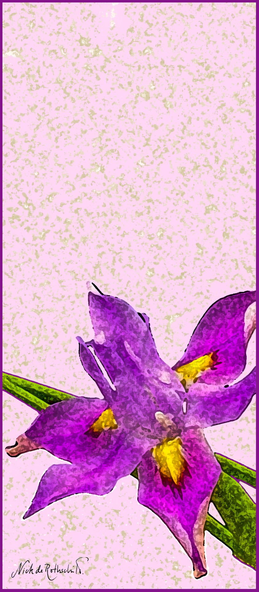 Sold as unframed mounted prints